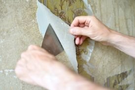 Old Wallpaper Removal