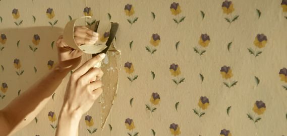 wallpaper removal company